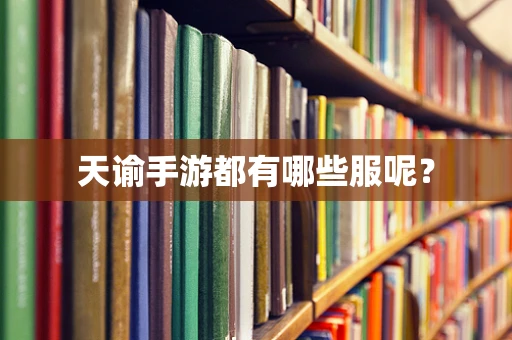 天谕手游都有哪些服呢？