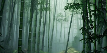 武林外传手游什么厉害吗？