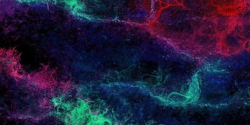 暗黑2手游能修改吗？